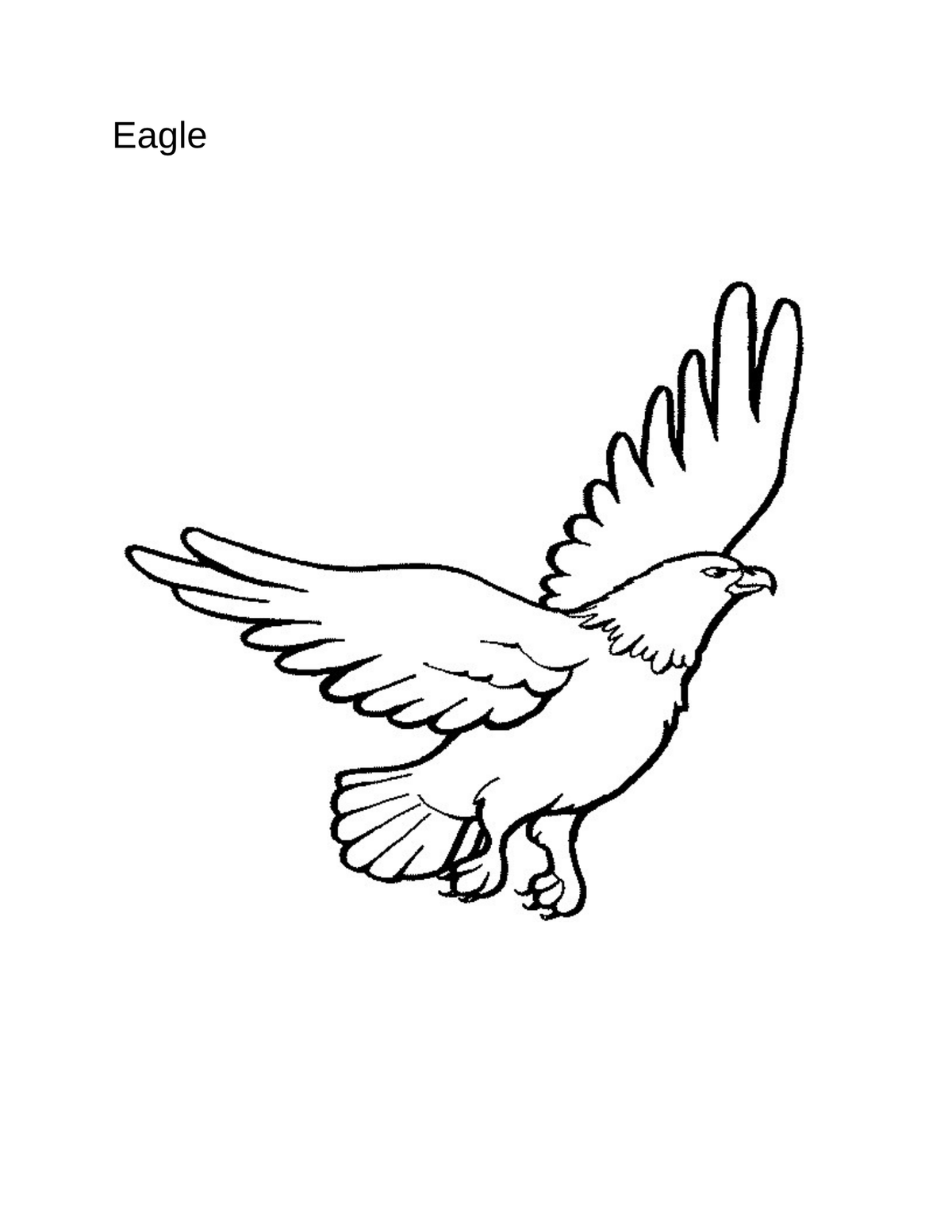 Coloring Book