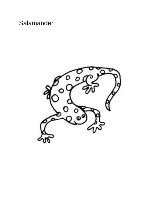 Coloring Book