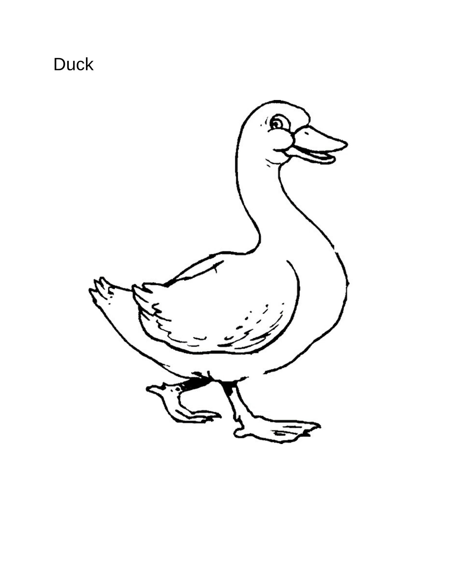 Coloring Book